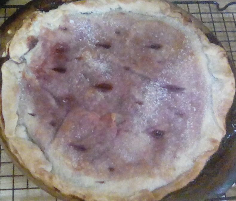 Grape Pie