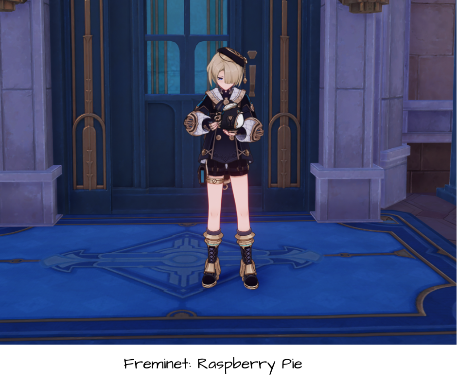 Freminet: Raspberry Pie